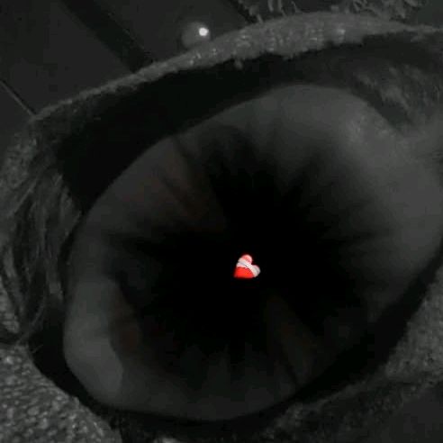 Profile Picture of Zainab shaikh (@zainabqurshi28) on Tiktok