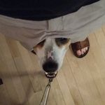 Profile Picture of Jonathan D. Glick (@jd.glick) on Instagram