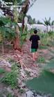 Profile Picture of   Rosmawar Nasution... (@rosmawarnasution0) on Tiktok