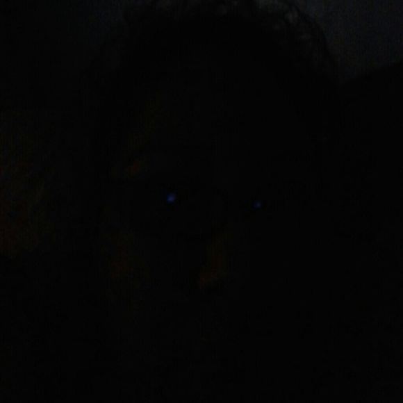 Profile Picture of Luz Arroyo (@smileylucy4) on Poshmark