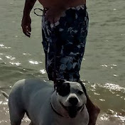 Profile Picture of Lawrence Carlson (@lawrencecarlson8082) on Youtube