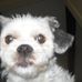Profile Picture of Wilma Walters (@wilma.walters.14) on Facebook