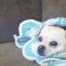 Profile Picture of Beverly McRoberts (@beverly.mcroberts.5) on Facebook
