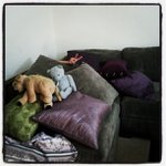 Profile Picture of Bernice Mason (@tabloidkidhot) on Instagram