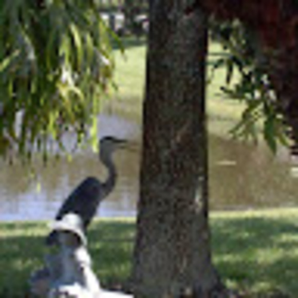 Profile Picture of Peter Krause (@lucyandduke) on Poshmark