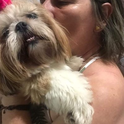 Profile Picture of Lucia Botelho (@LuciaBotelho6) on Twitter