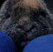 Profile Picture of Lisa French Lops (@babybunnyhouse.frenchlops) on Facebook
