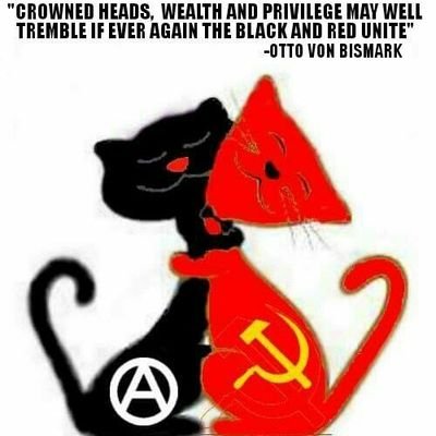 Profile Picture of Haafez-e-Shirazi (@DiogenesvanA) on Twitter