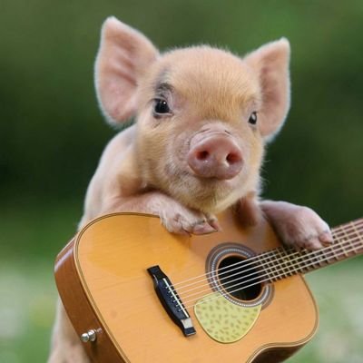 Profile Picture of LiuQing (@LiuQing72213773) on Twitter