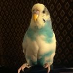 Profile Picture of Danny Newkirk (@danny.newkirk.520) on Instagram