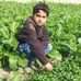 Profile Picture of Abuzar Fayyaz (@abuzar.fayyaz.1) on Facebook