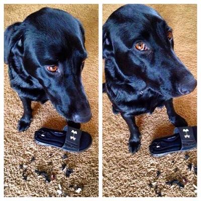 Profile Picture of Kris Barrett (@barrett_kris) on Twitter