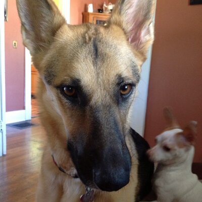 Profile Picture of Sandra Marlin (@stocktrader69) on Twitter
