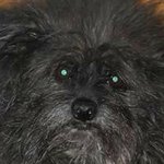 Profile Picture of Cindy Dungan-Greywolf (@cindy.dungangreywolf) on Instagram