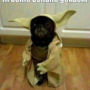 Profile Picture of Thomas Lande (@thomas.lande.58) on Myspace