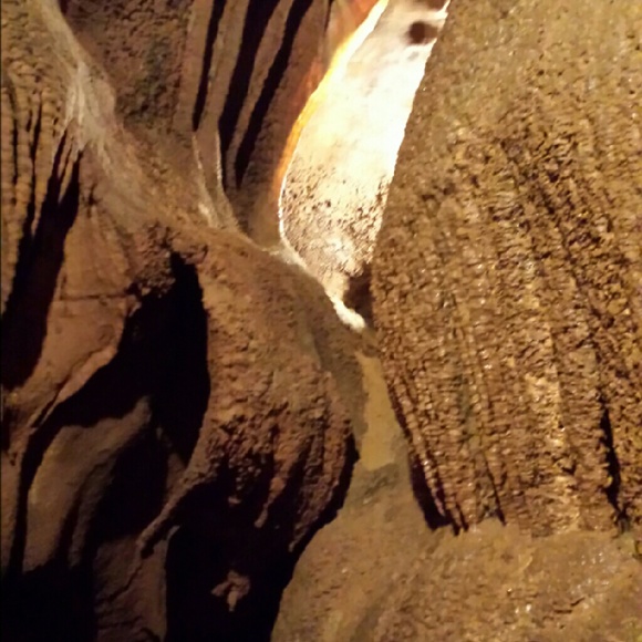 Profile Picture of Brenda Molton (@bmolton) on Poshmark