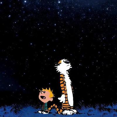 Profile Picture of Matt Himes (@MHimesMFA) on Twitter
