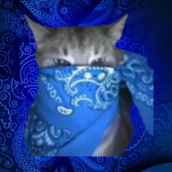 Profile Picture of Emilio Padilla (@epadila999) on Poshmark