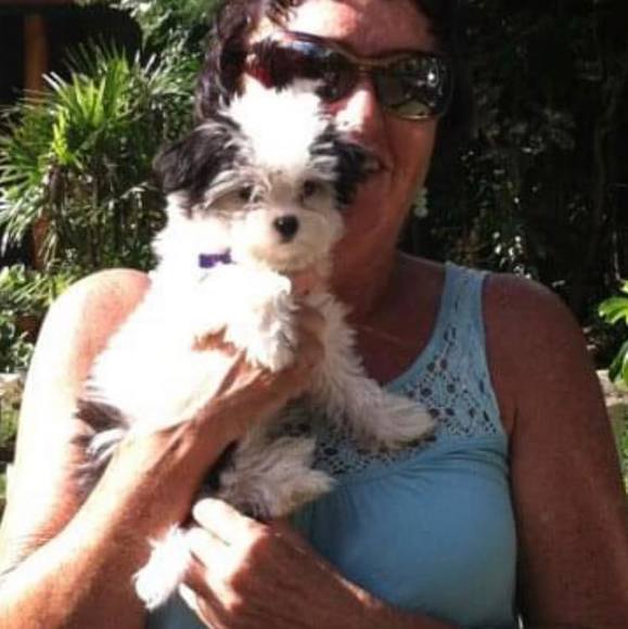 Profile Picture of Pamela Andrade (@boar1) on Poshmark