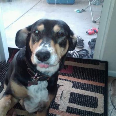 Profile Picture of Corey Joiner (@CoreyJoiner5) on Twitter