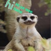 Profile Picture of Jims a bin (@@jim_the_bin) on Tiktok