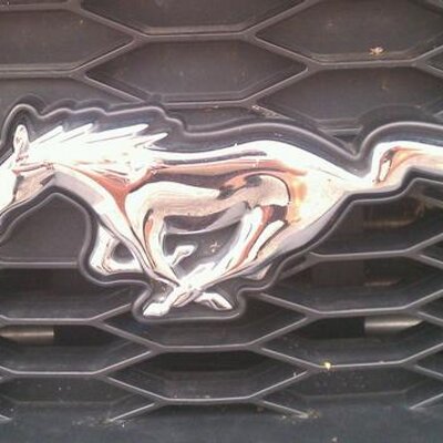 Profile Picture of Scott Sechler (@5secky10) on Twitter