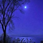 Profile Picture of Scott Levan (@scott.levan) on Instagram