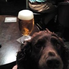 Robert Duff - Twitter Profile Picture of Robert Duff (@Robduff155) on Twitter