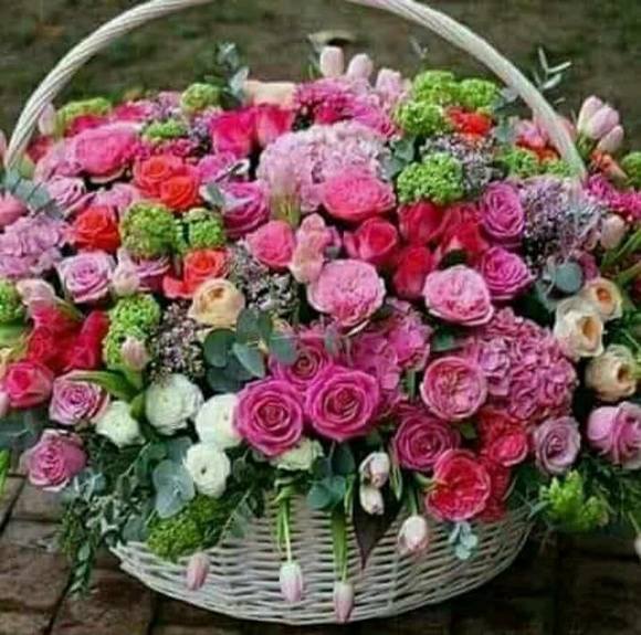 Profile Picture of Suziwana Deshields (@suziwana) on Poshmark