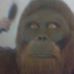 Profile Picture of Willy Meg (@willy.meg) on Facebook