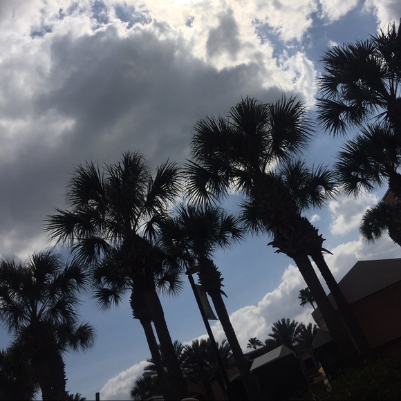 Profile Picture of Kate Cannata (@kcannata197) on Poshmark