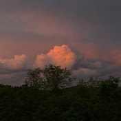 Profile Picture of Gabriel Fitzgerald (@gabrielfitzgerald3945) on Youtube