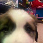 Profile Picture of Isaac Clouse (@4232_isaac) on Instagram