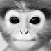 Profile Picture of Austin Ramirez (@austin.ramirez.9277583) on Facebook
