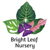 Profile Picture of Karen - Bright Leaf Nursery (@brightleafnursery) on Youtube