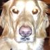 Profile Picture of Kathleen Collins Hawkes (@kathleen.hawkes.73) on Facebook