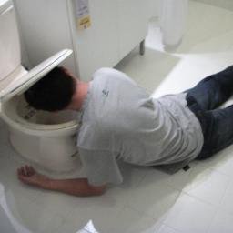 Profile Picture of Tommy Liang (@tommytiger081) on Twitter