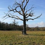 Michael wain - Instagram Profile Picture of Michael wain (@m.wain.1984) on Instagram