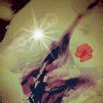 Profile Picture of Stacy Kenneth Nual >_< (@stacykenneth_nual312) on Instagram