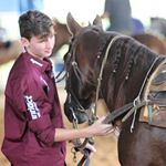 Profile Picture of Pedro Lanza (@pepeqw) on Instagram