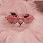 Profile Picture of June Eriksen (@june_eriksen_) on Instagram