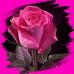 Profile Picture of Maria Contreras Enriquez (@maria.contrerasenriquez.1) on Facebook