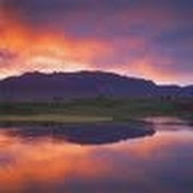 Profile Picture of Randy Whitten (@tazrandy) on Youtube