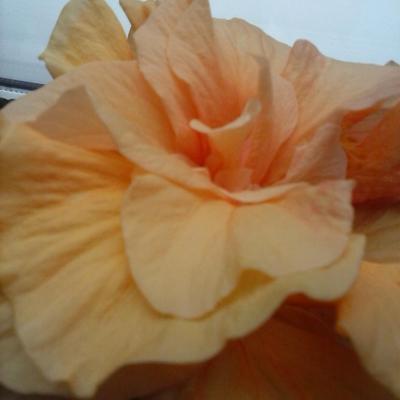 David Laudon - Twitter Profile Picture of David Laudon (@davitto89) on Twitter