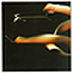 Profile Picture of Javier  Salinas (@Javier A Salinas) on Flickr