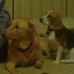 Profile Picture of Mitzi Wagner (@storm_girl73) on Instagram