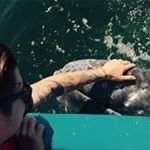 Profile Picture of Michael Kassing (@mischa.koellefornia) on Instagram