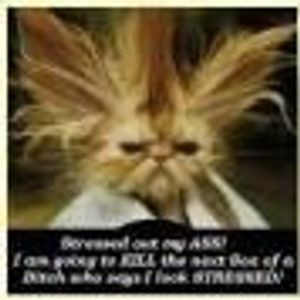 Profile Picture of Lisa Parsley (@274859759) on Myspace