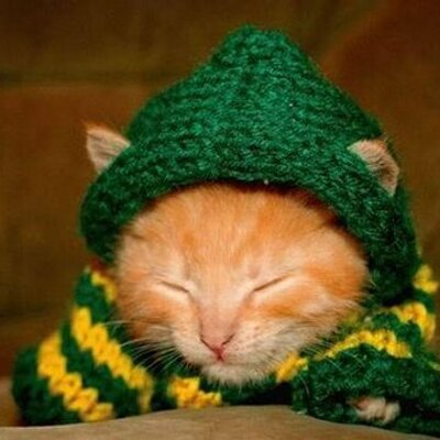 Profile Picture of Jake Rosenthal (@jslurpee) on Twitter