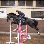 Profile Picture of AMANDA WALLGREN🇸🇪 (@amanda.ridsport90) on Instagram